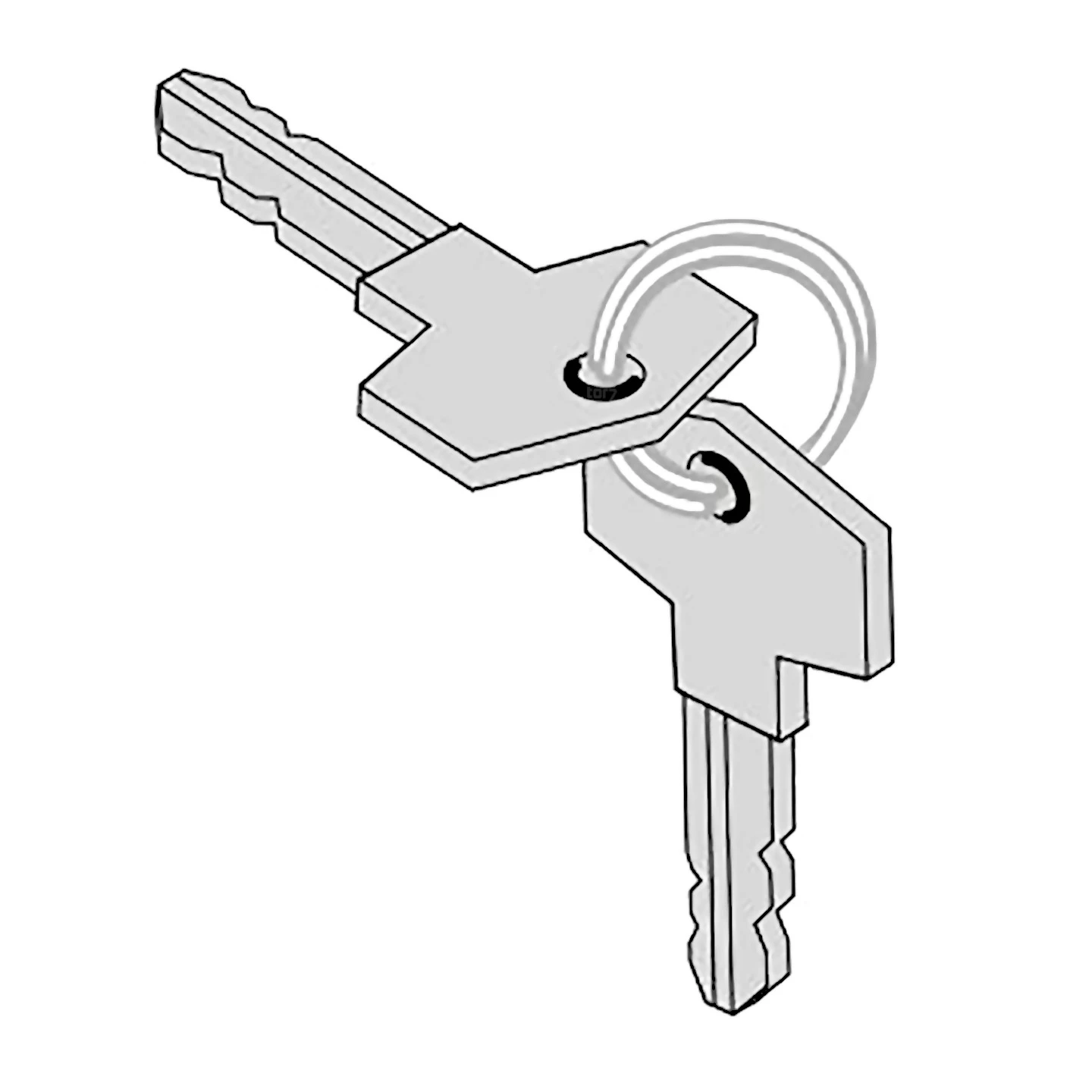 SOMMER Schlüssel Hebelschloss Twist 200 E/EL/350/AM, 2-Stück 3 SOMMER Schlüssel Hebelschloss Twist 200 E/EL/350/AM, 2-Stück